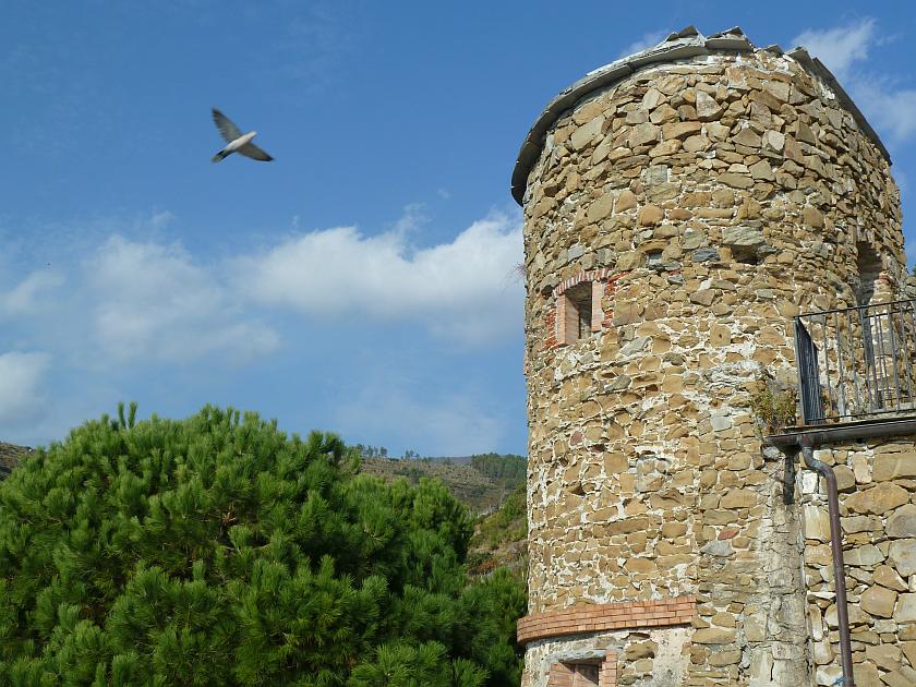 Castles - Riomaggiore