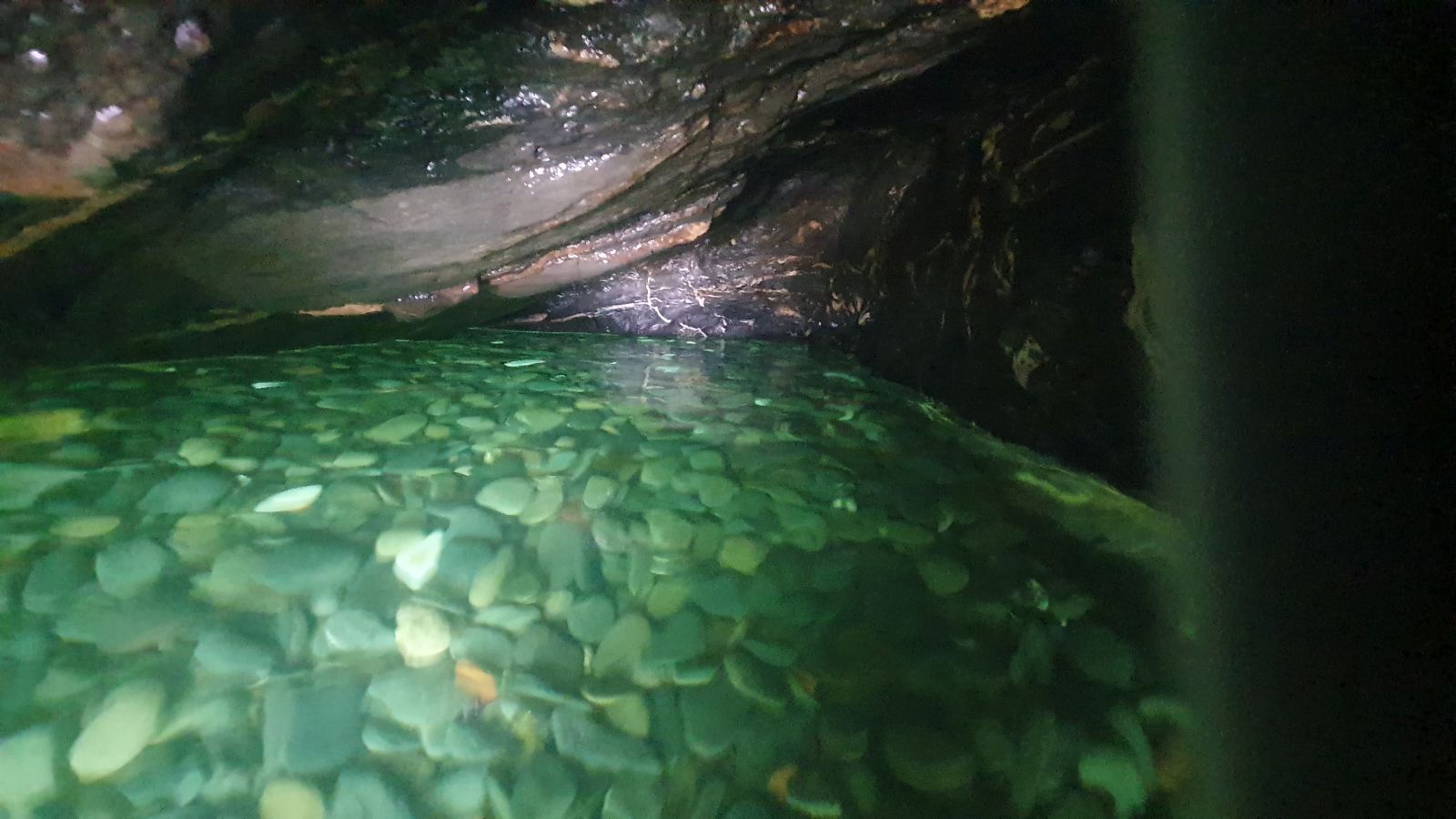 Cave in Manarola